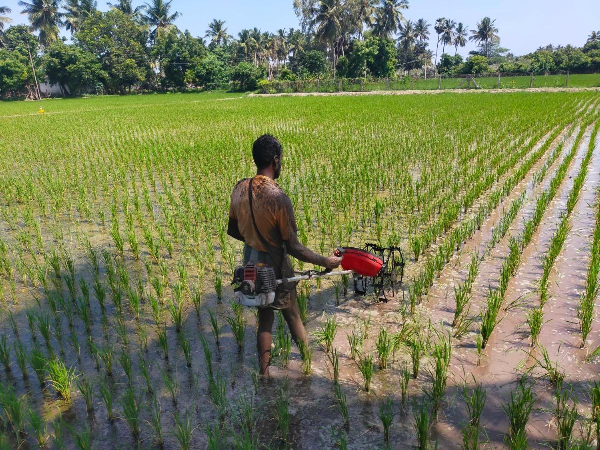 The Farm Crest, Ecr Kadallur Kuvattur Ngoại thất bức ảnh