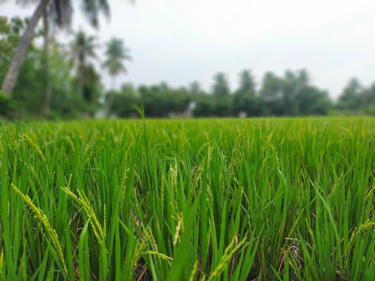 The Farm Crest, Ecr Kadallur Kuvattur Ngoại thất bức ảnh